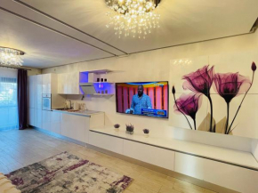 S & S Apartment 2 bedroom with Balcony & Terrace Dumbravita free Parking at location 2 spaces